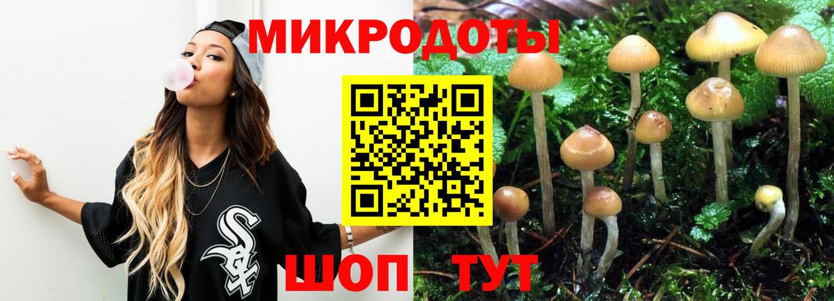 Псилоцибиновые грибы Cubensis  Вход с VPN  Сунжа 